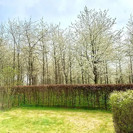 Holiday home Havre De Paix Aux Portes Des Ardennes *